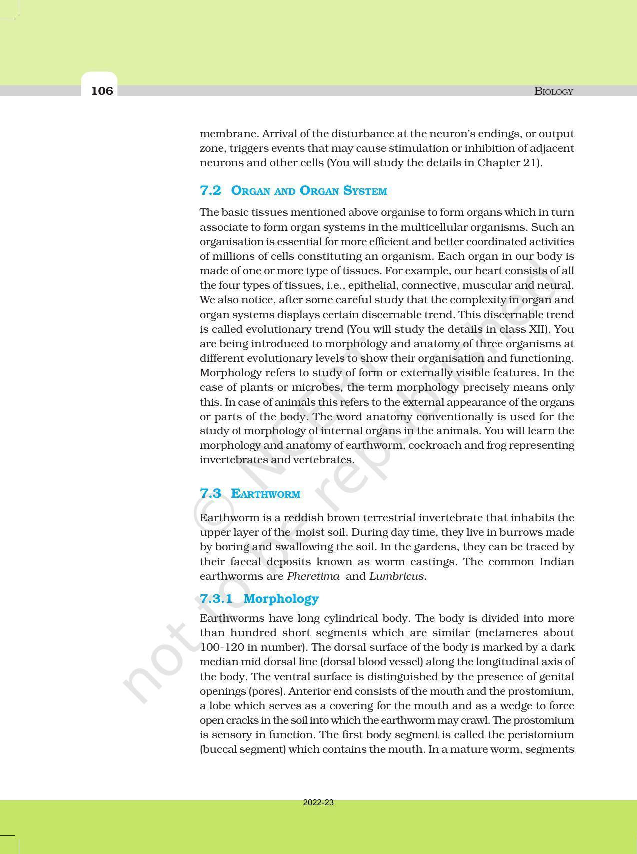 NCERT Book for Class 11 Biology Chapter 7 Structural Organisation in Animals - Page 7