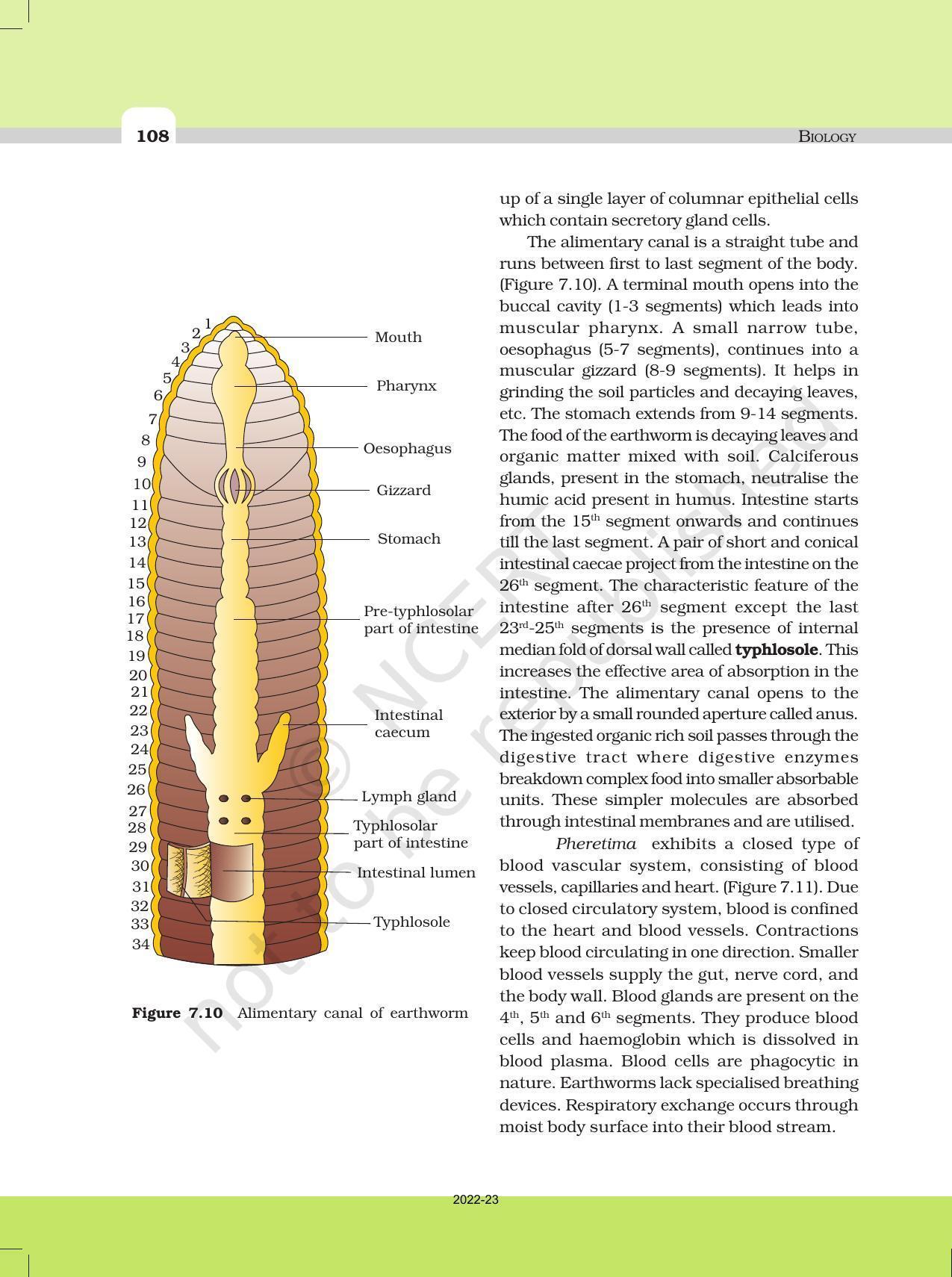 NCERT Book for Class 11 Biology Chapter 7 Structural Organisation in Animals - Page 9
