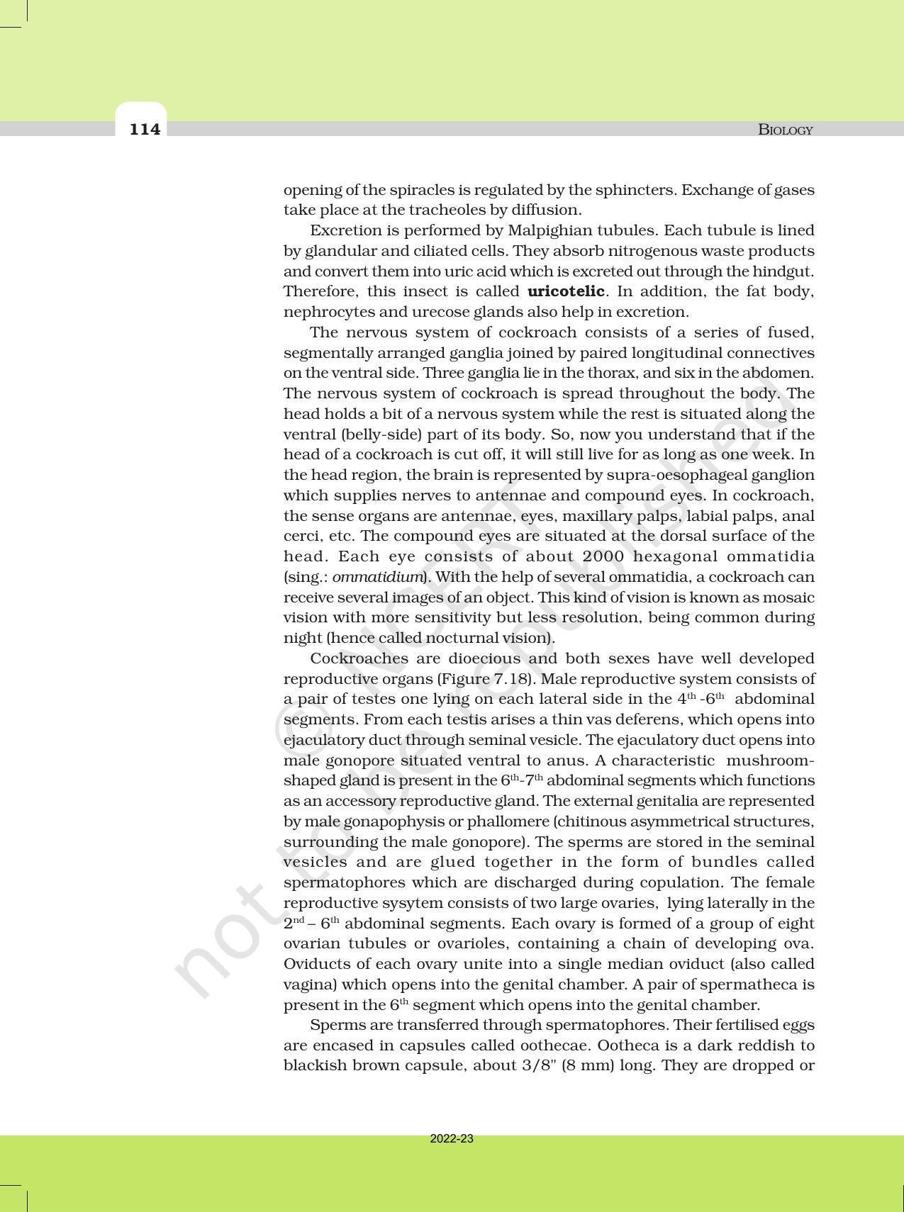 NCERT Book for Class 11 Biology Chapter 7 Structural Organisation in Animals - Page 15