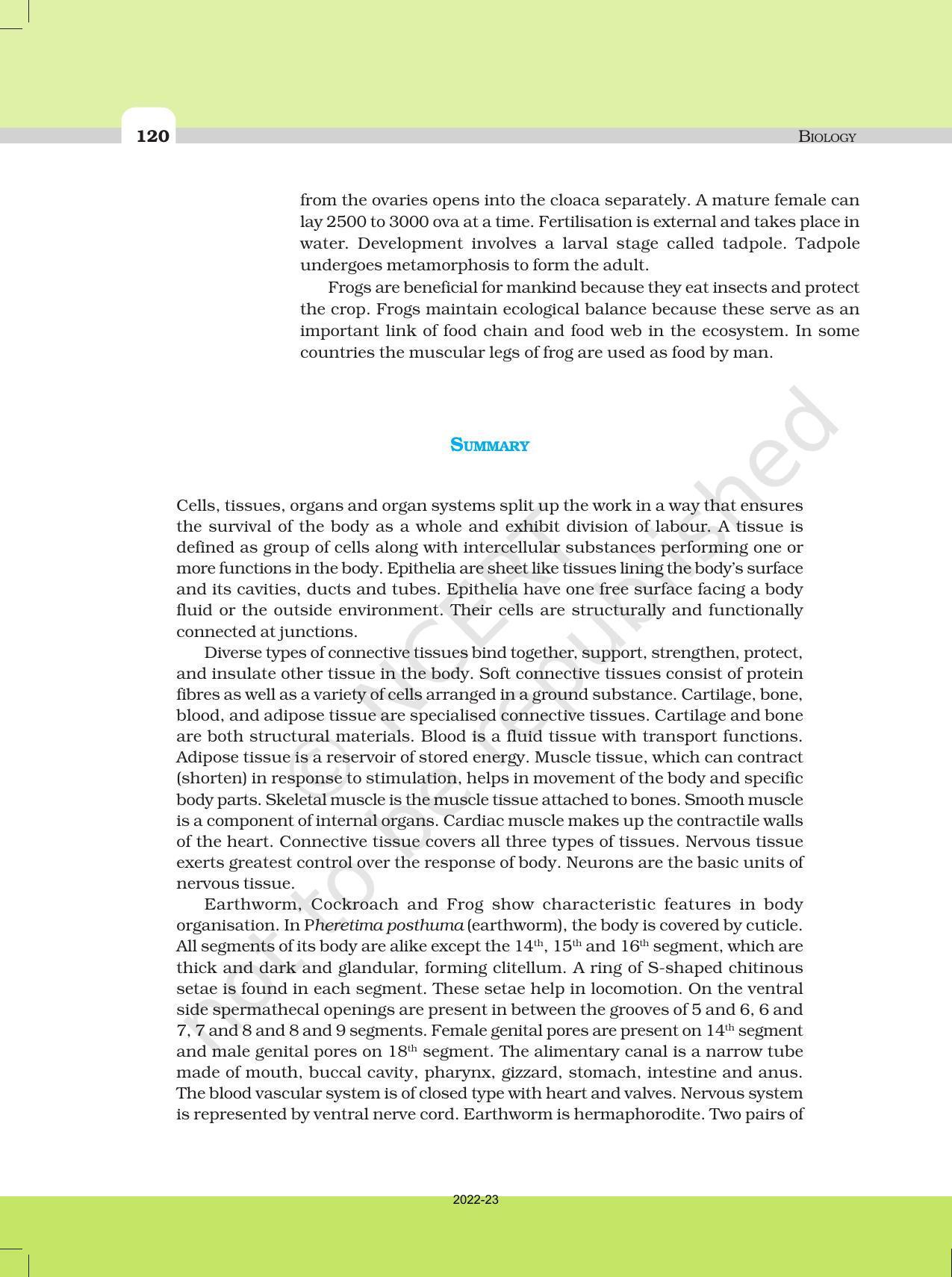 NCERT Book for Class 11 Biology Chapter 7 Structural Organisation in Animals - Page 21