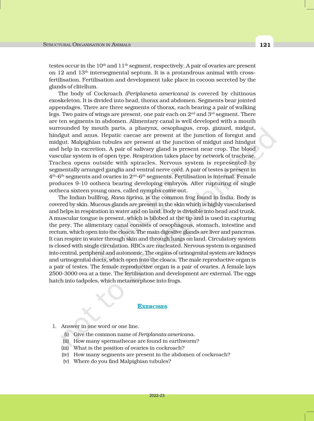 NCERT Book for Class 11 Biology Chapter 7 Structural Organisation in Animals - Page 22