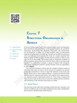 NCERT Book for Class 11 Biology Chapter 7 Structural Organisation in Animals
