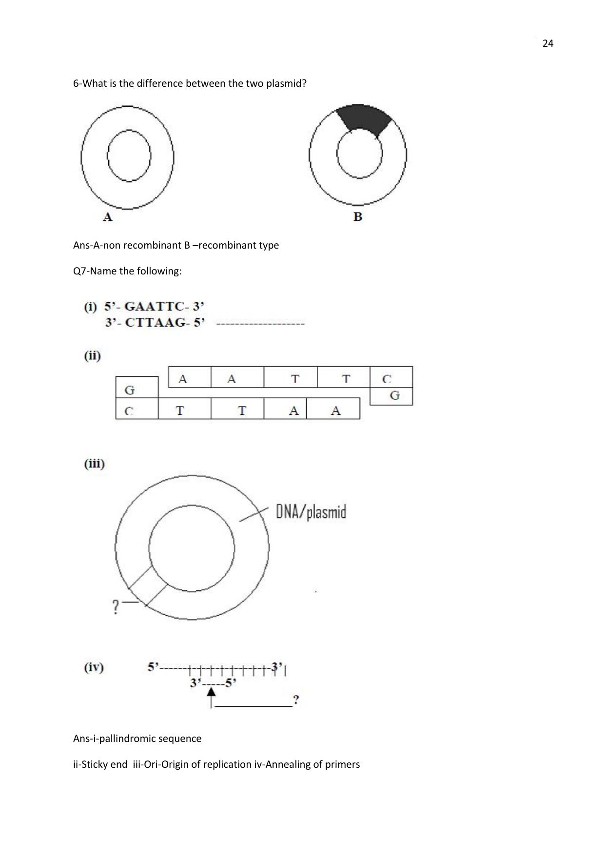 Free Printable CBSE Class 12 Biology All Chapters Worksheets - Page 24