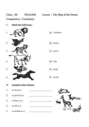 Worksheet for Class 3 English The Ship of the Desert Assignment