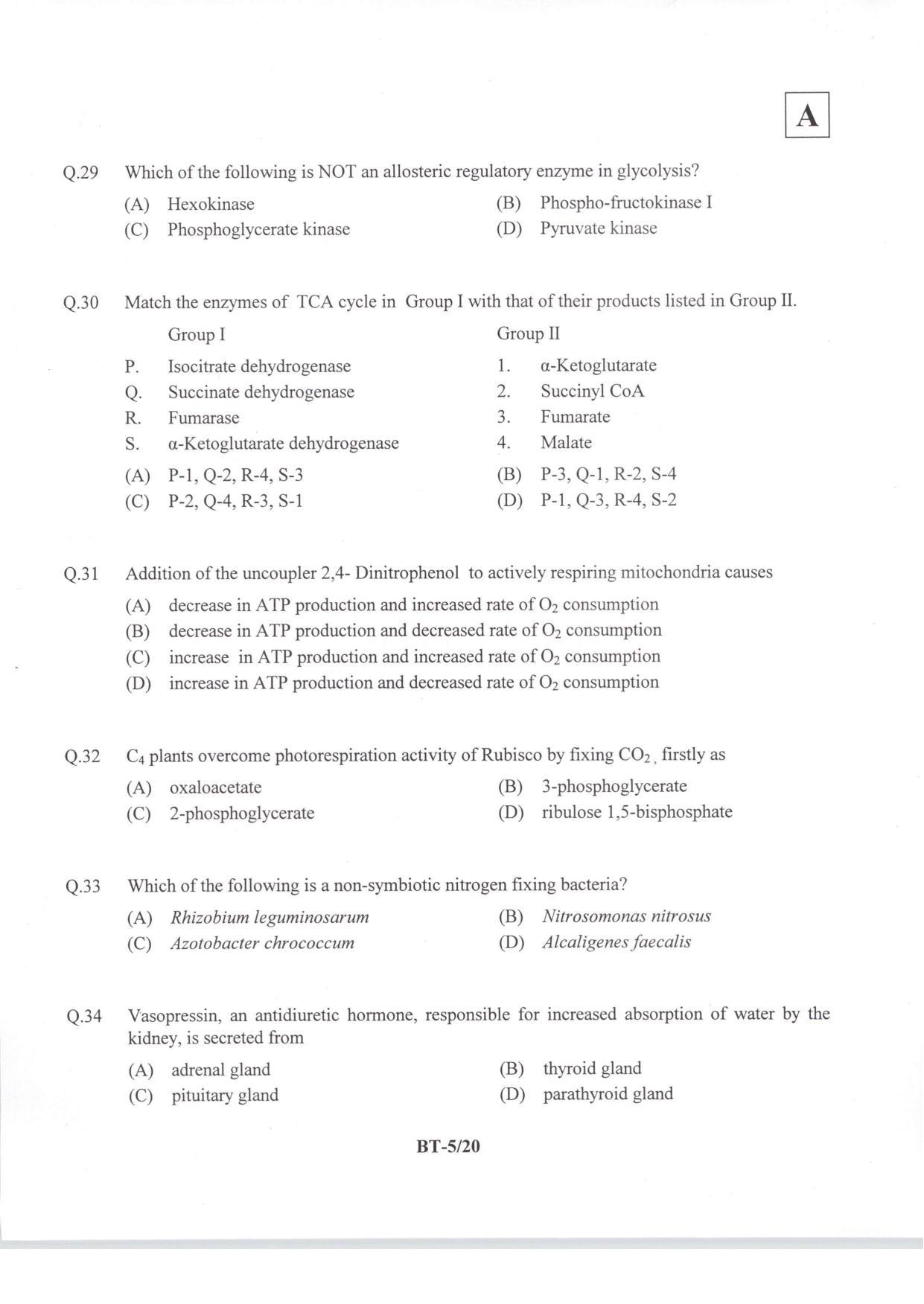 JAM 2014: BT Question Paper - Page 7