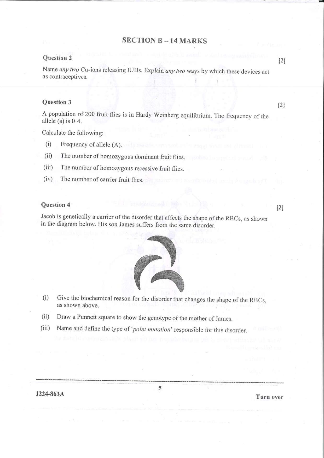 ISC Class 12 Biology 2024 Question Paper - Page 5