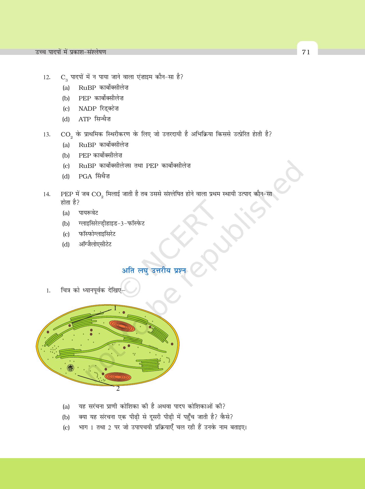 NCERT Exemplar Class 11: जीवविज्ञान अध्याय 13 (उच्च पादपो मे प्रकाश - संश्लेषण ) - Page 3