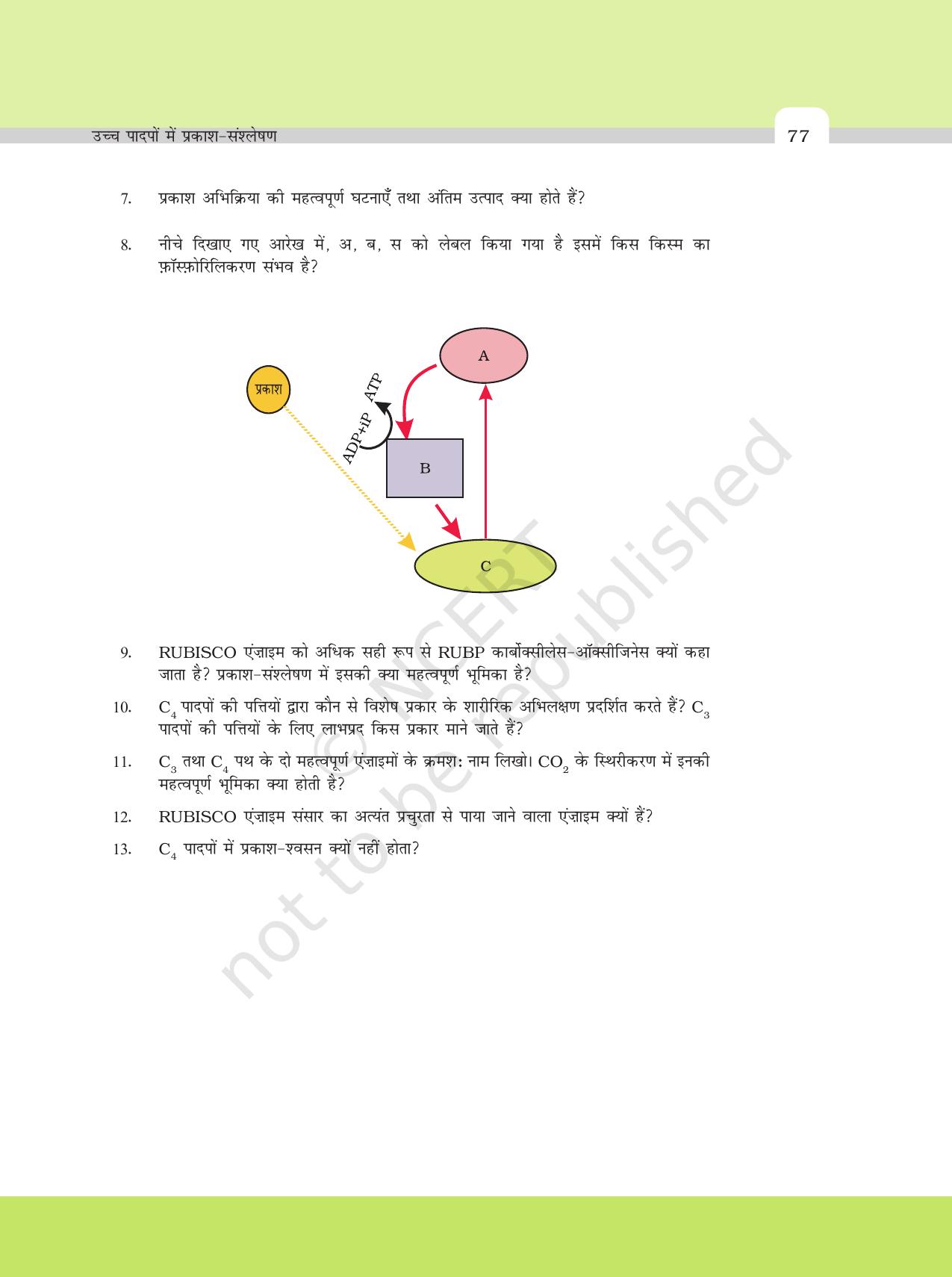 NCERT Exemplar Class 11: जीवविज्ञान अध्याय 13 (उच्च पादपो मे प्रकाश - संश्लेषण ) - Page 9