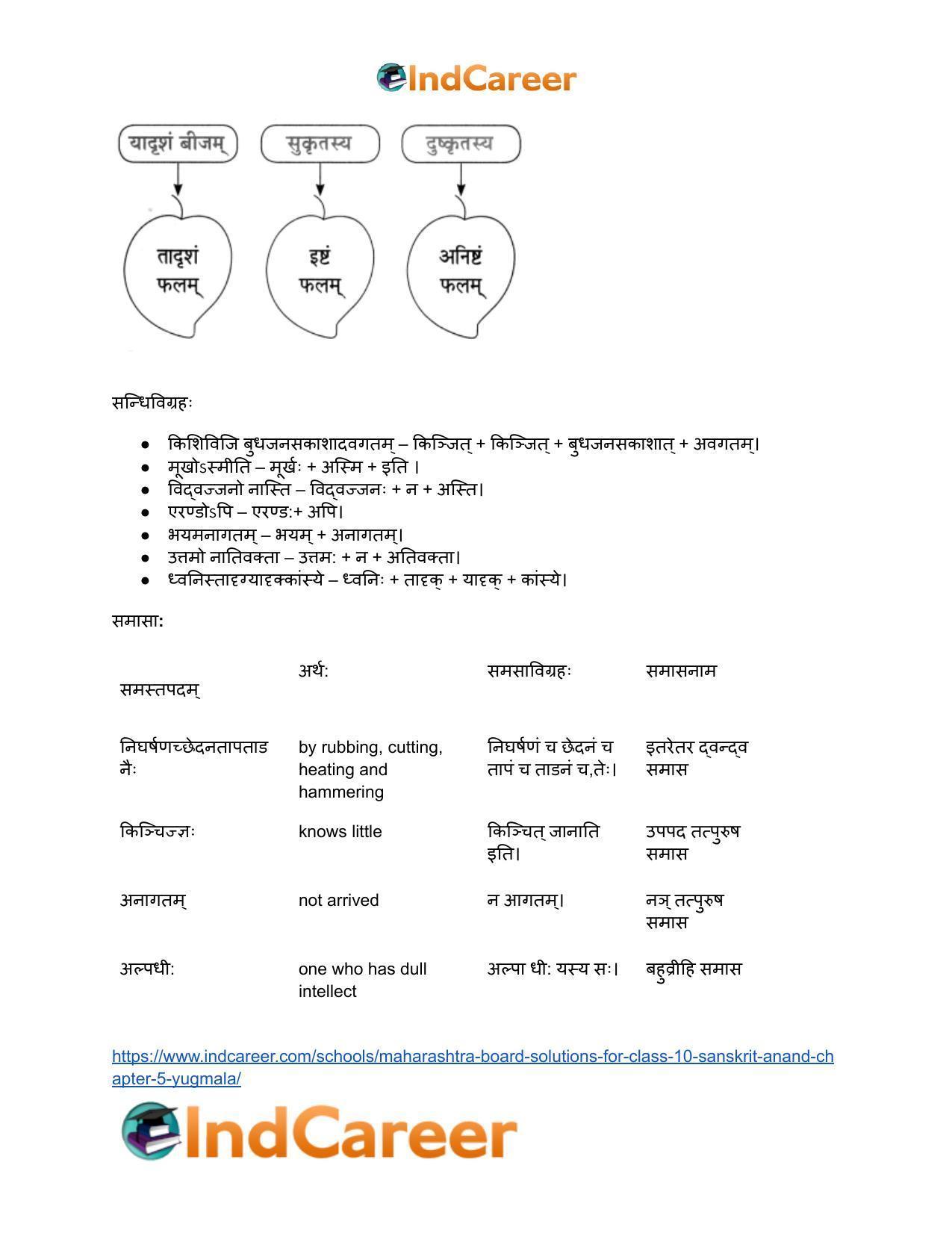 Maharashtra Board Solutions for Class 10- Sanskrit Anand: Chapter 5- युग्ममाला - Page 12
