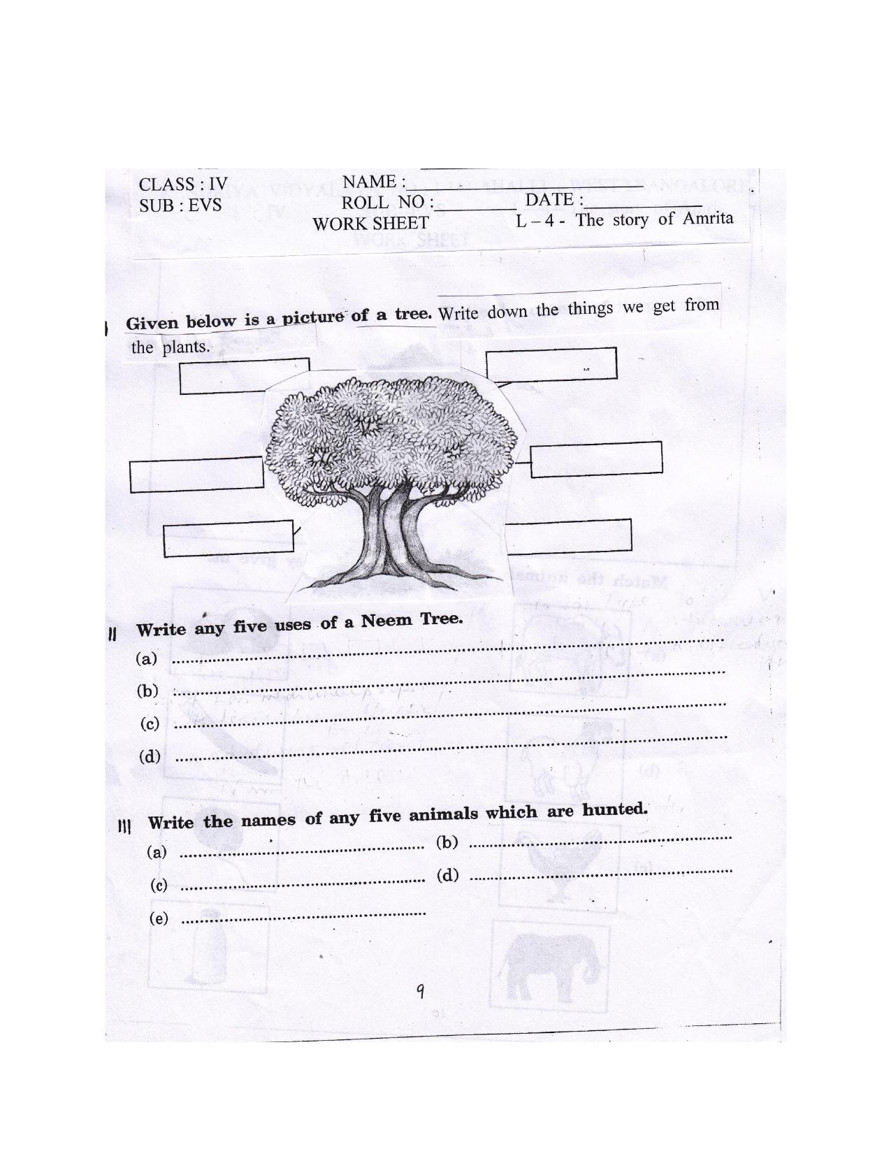 Worksheet for Class 4 Environmental Studies The Story of Amrita Assignment - Page 1