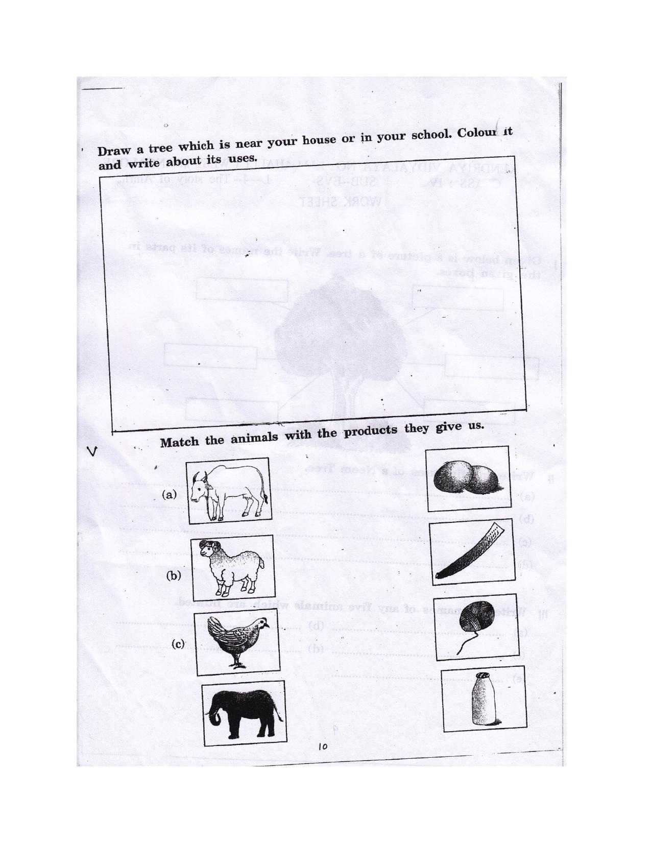 Worksheet for Class 4 Environmental Studies The Story of Amrita Assignment - Page 2