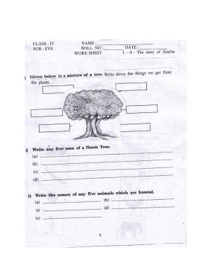 Worksheet for Class 4 Environmental Studies The Story of Amrita Assignment