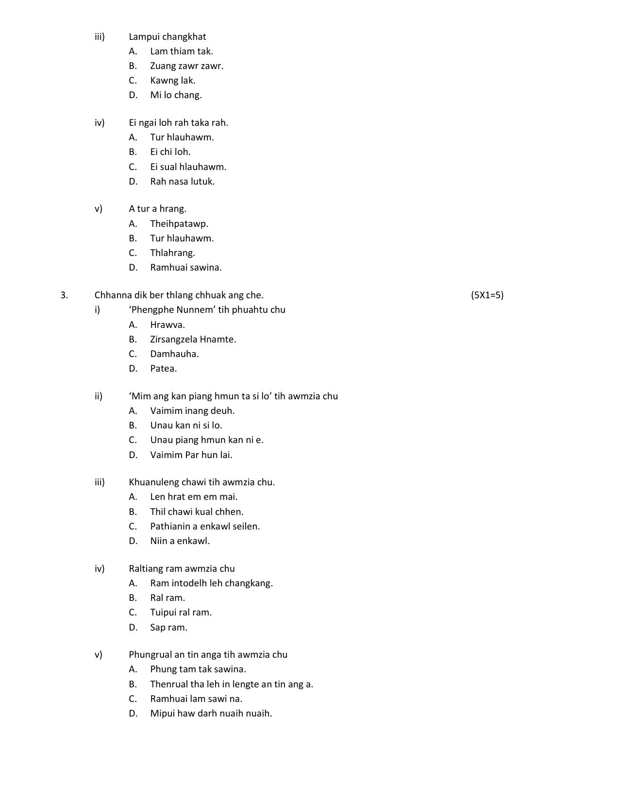 CBSE Class 12 Mizo Sample Question Paper 2024-25 - Page 2