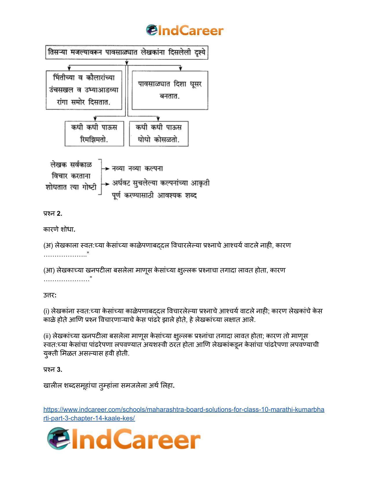 Maharashtra Board Solutions for Class 10- Marathi Kumarbharti (Part- 3): Chapter 14- काळे केस - Page 3