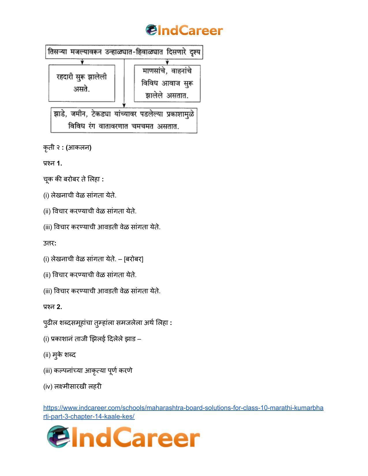 Maharashtra Board Solutions for Class 10- Marathi Kumarbharti (Part- 3): Chapter 14- काळे केस - Page 13