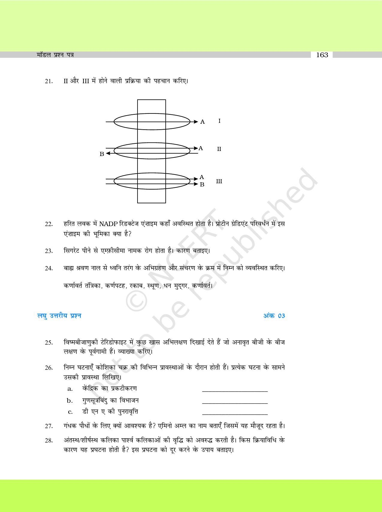 NCERT Exemplar Class 11: जीवविज्ञान अध्याय 25 (मॉडल प्रश्न पत्र ) - Page 6