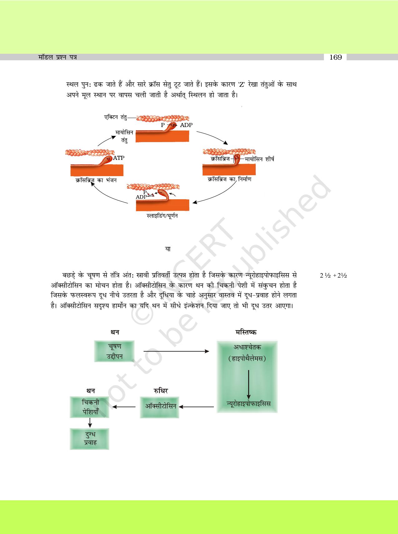 NCERT Exemplar Class 11: जीवविज्ञान अध्याय 25 (मॉडल प्रश्न पत्र ) - Page 12