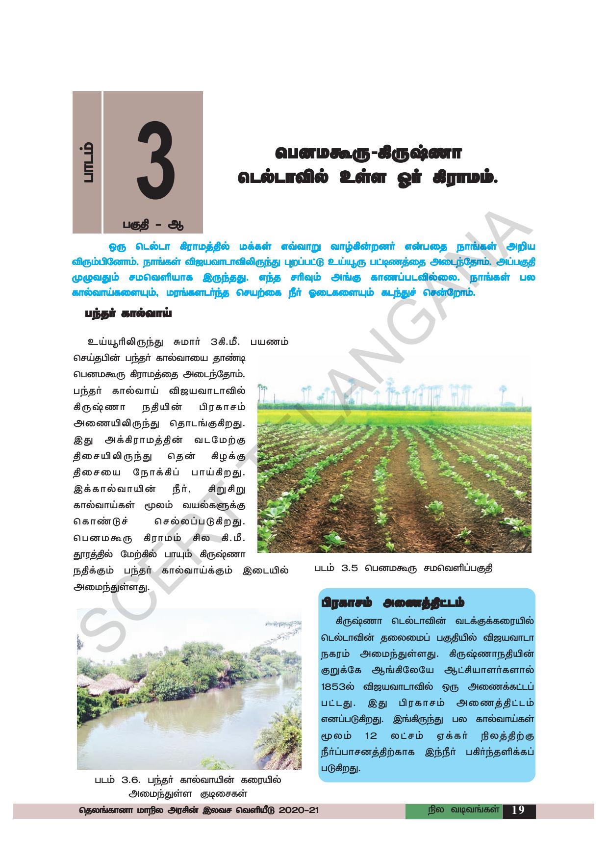 TS SCERT Class 6 Social Science (Tamil Medium) Text Book - Page 29
