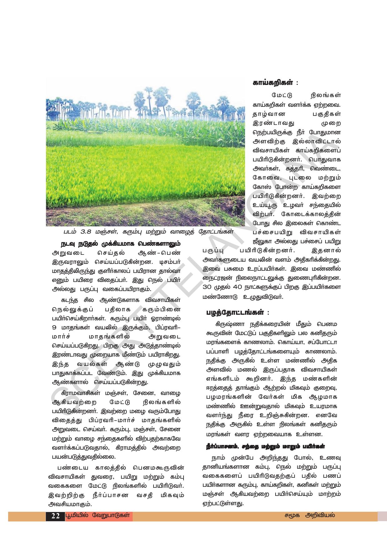 TS SCERT Class 6 Social Science (Tamil Medium) Text Book - Page 32