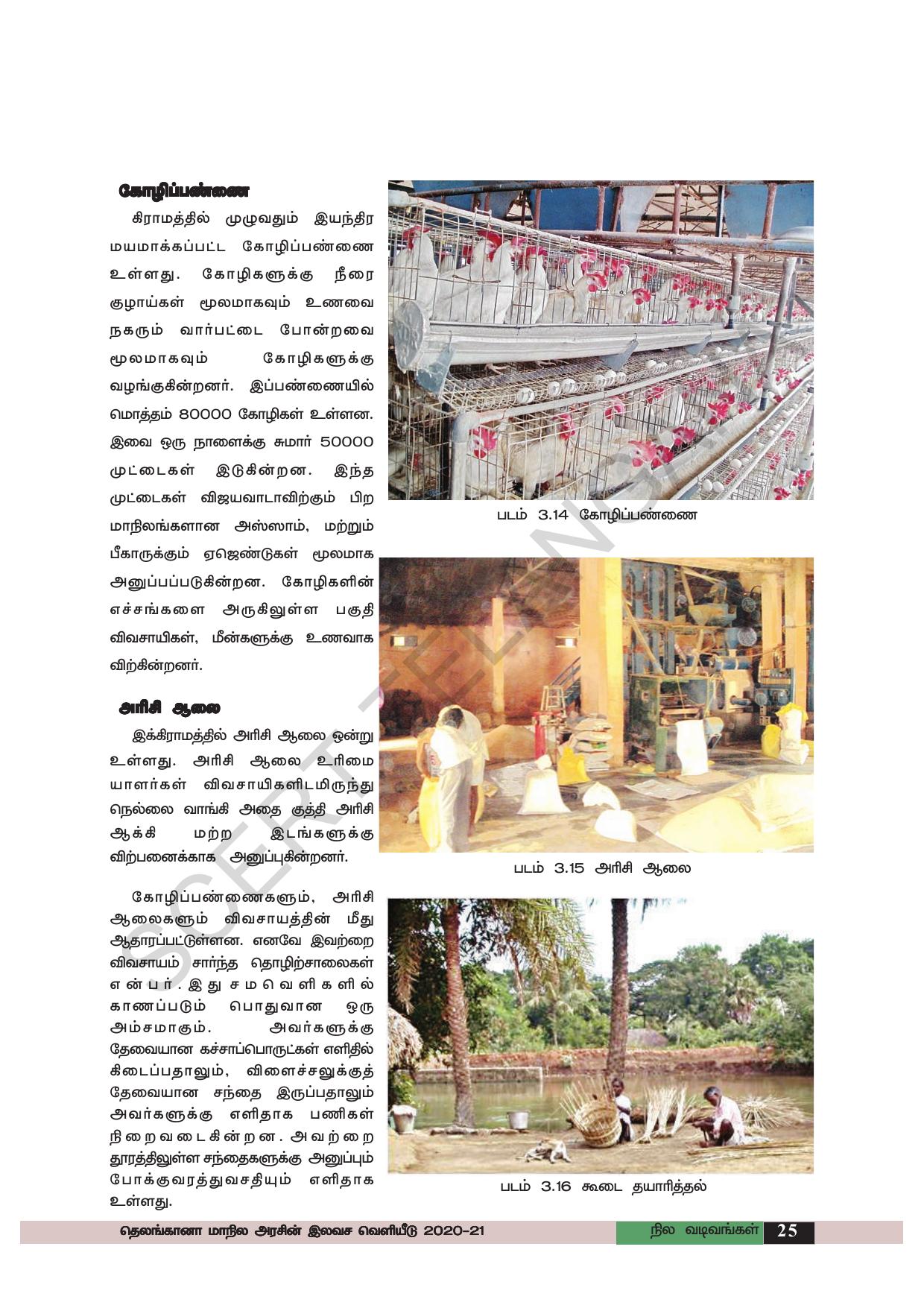 TS SCERT Class 6 Social Science (Tamil Medium) Text Book - Page 35