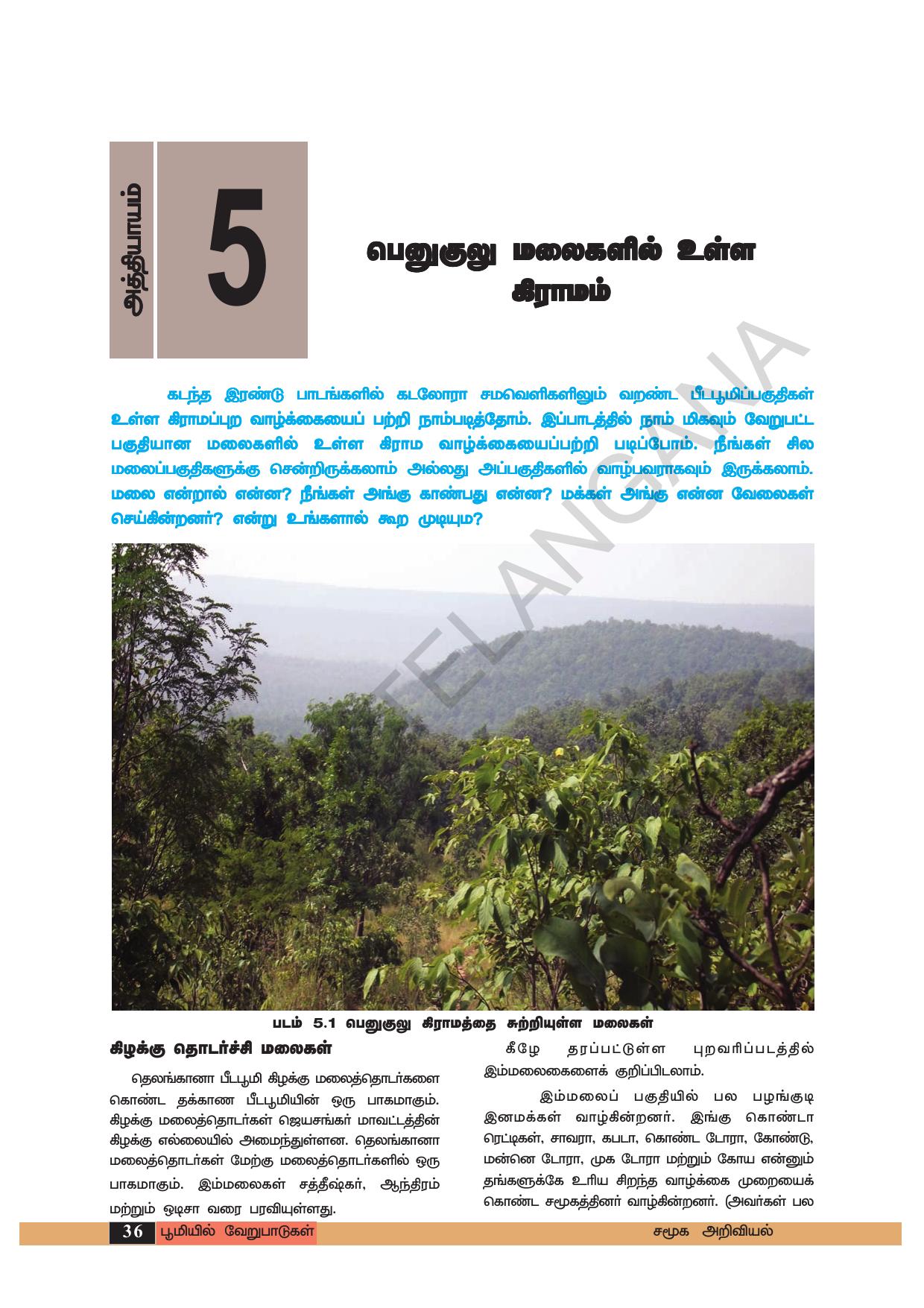 TS SCERT Class 6 Social Science (Tamil Medium) Text Book - Page 46