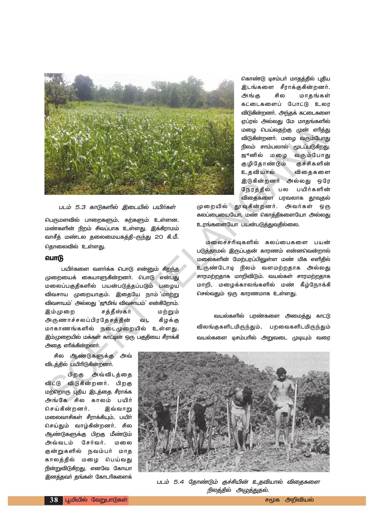 TS SCERT Class 6 Social Science (Tamil Medium) Text Book - Page 48