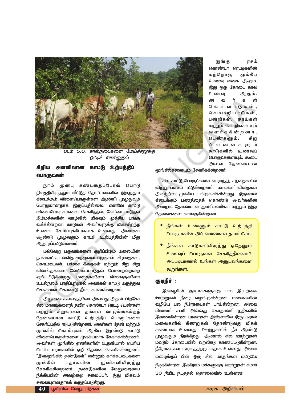 TS SCERT Class 6 Social Science (Tamil Medium) Text Book - Page 50