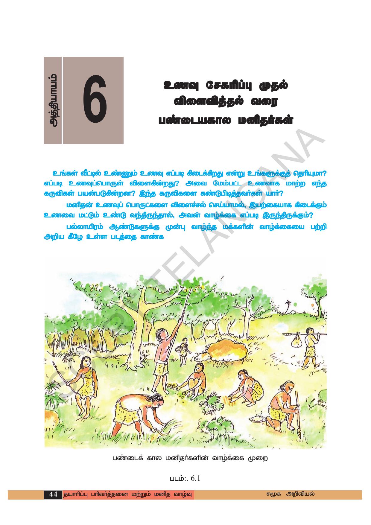 TS SCERT Class 6 Social Science (Tamil Medium) Text Book - Page 54