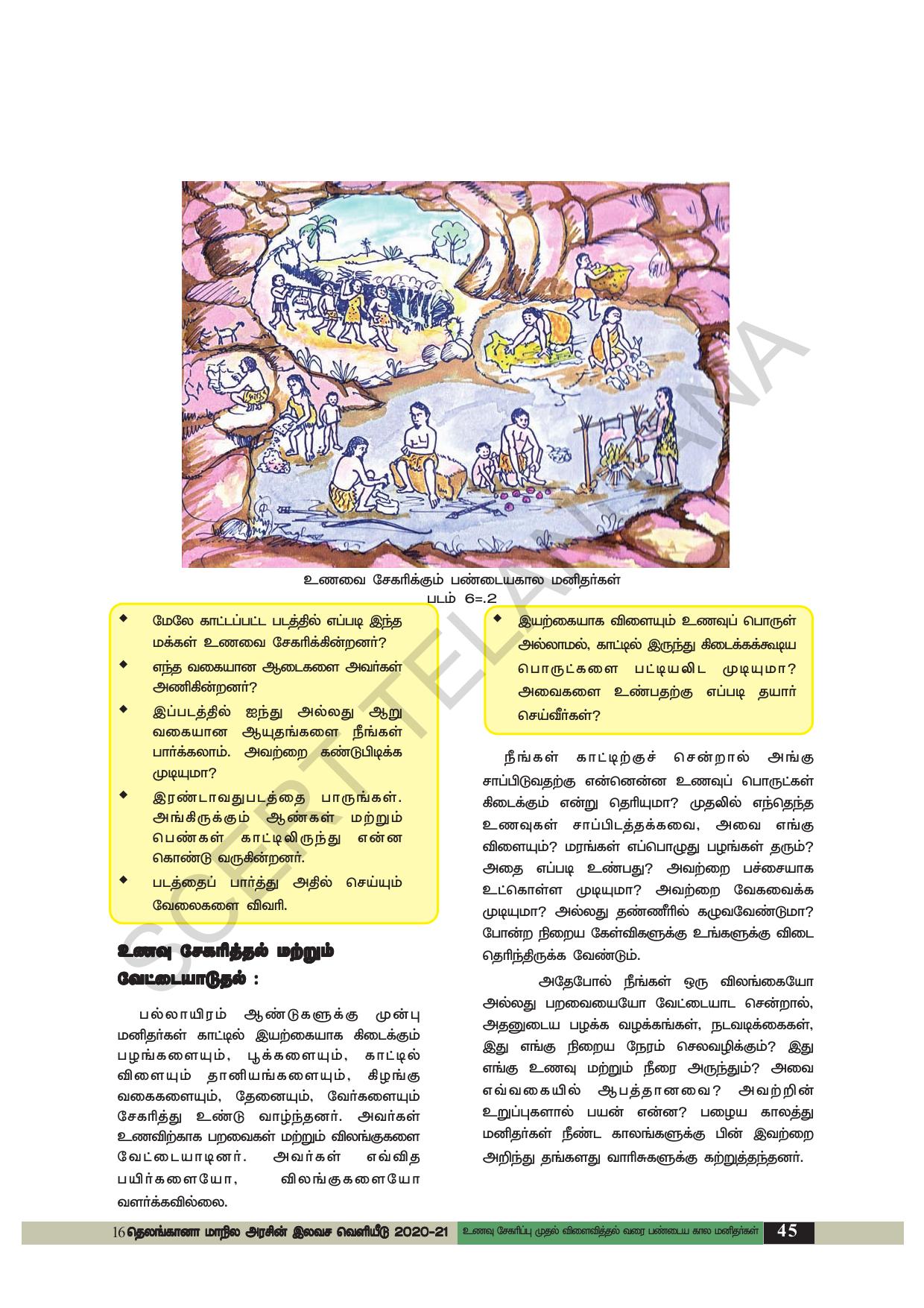 TS SCERT Class 6 Social Science (Tamil Medium) Text Book - Page 55