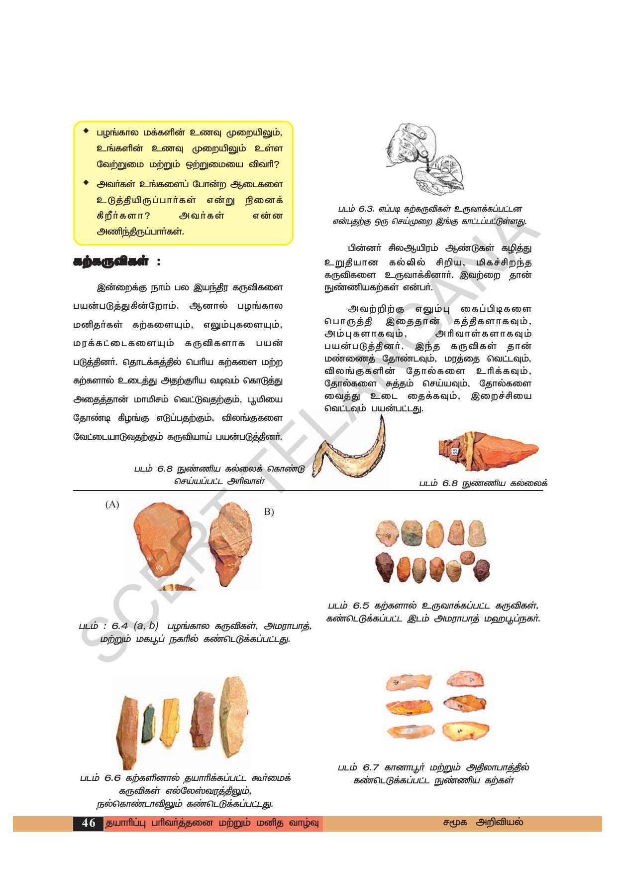 TS SCERT Class 6 Social Science (Tamil Medium) Text Book - Page 56