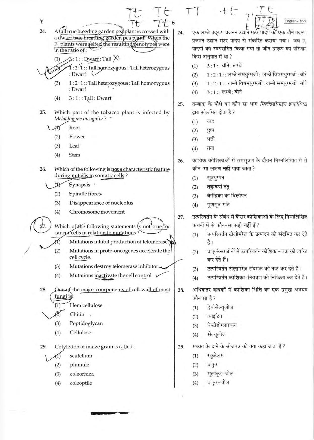 NEET Code C/ R/ Y 2016 Question Paper - Page 6