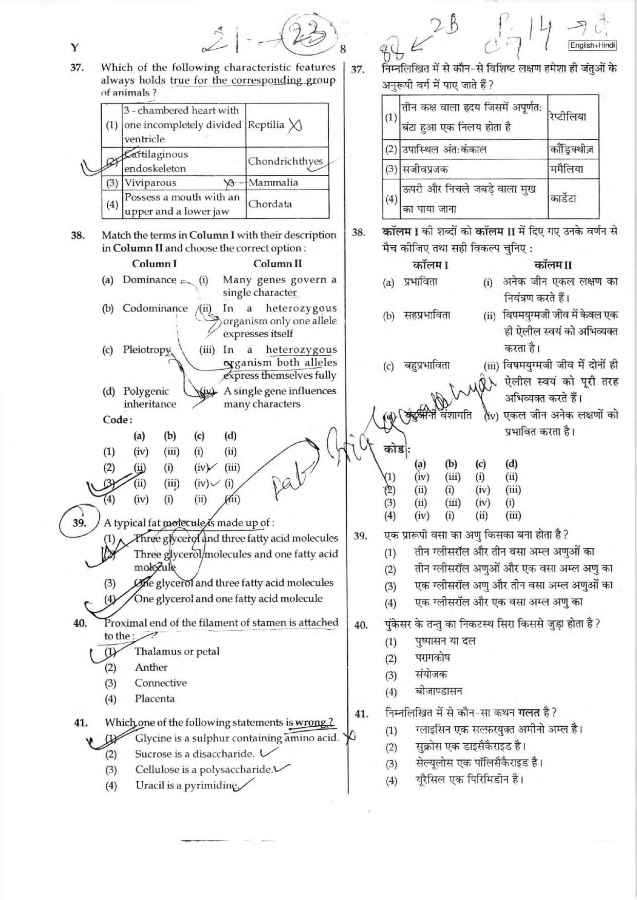 NEET Code C/ R/ Y 2016 Question Paper - Page 8