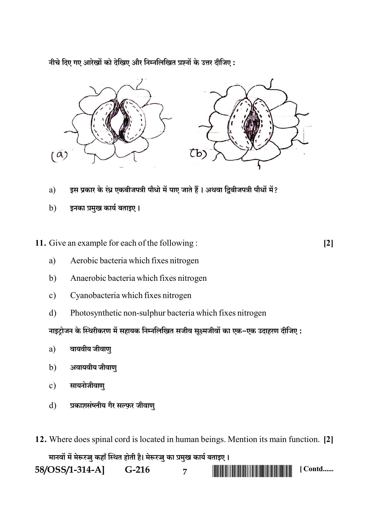 NIOS April 2019 Class 12 Biology (SET A) Question Paper - Page 7