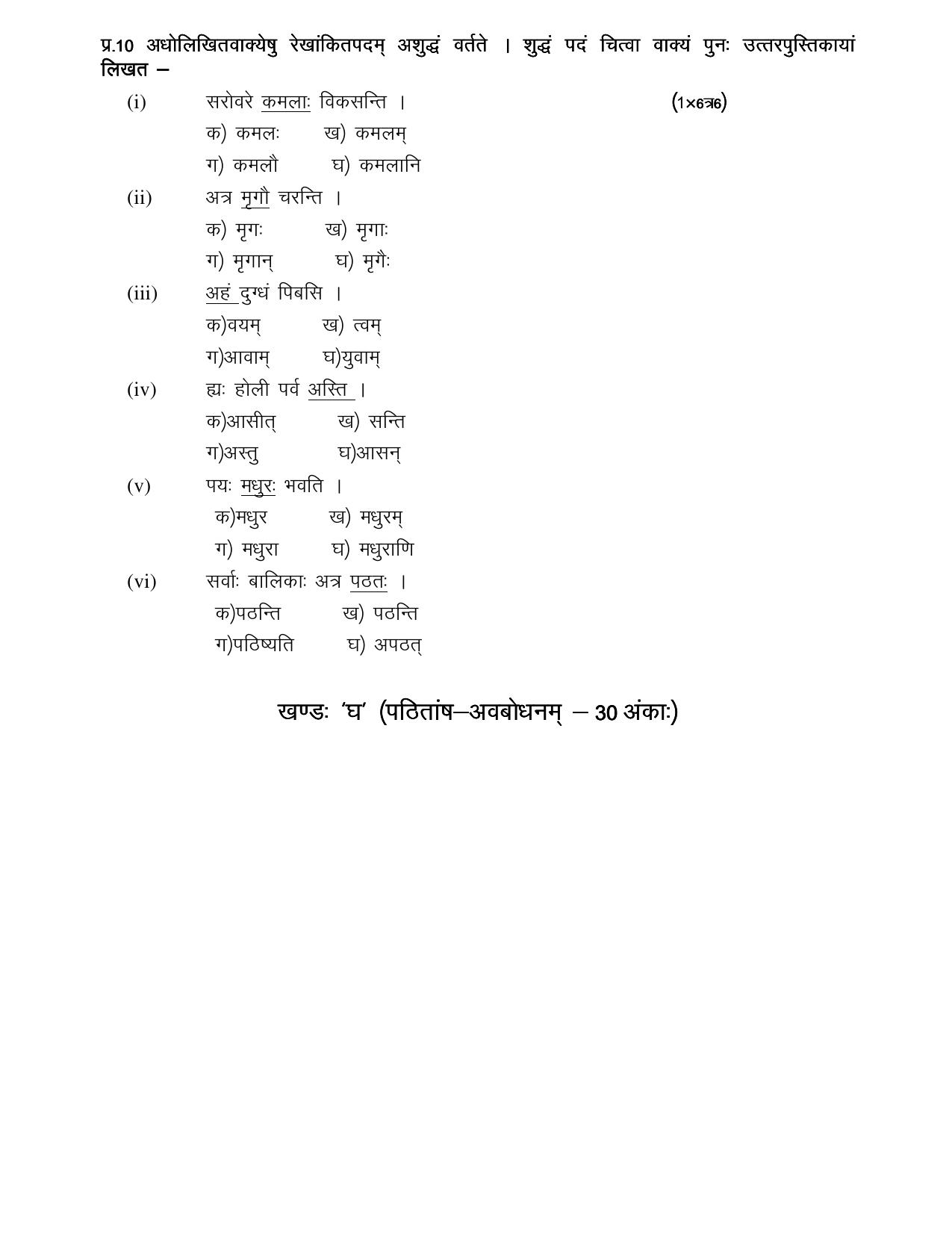 CBSE Worksheets for Class 10 Sanskrit Assignment 11 - Page 6