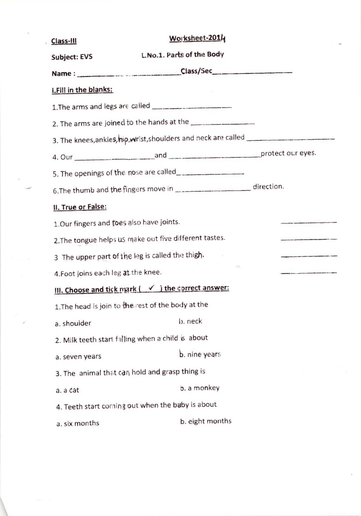 Worksheet for Class 3 EVS Assignment 96 Parts of the Body - Page 1