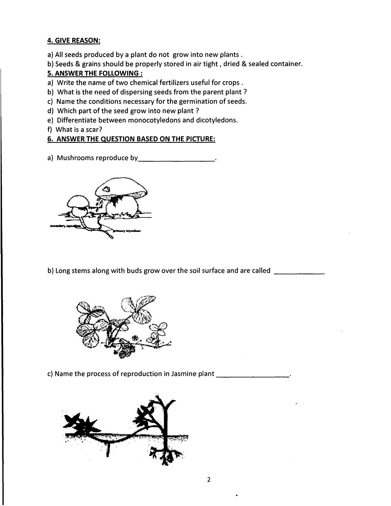 Worksheet for Class 5 Science The Living World Assignment - Page 2