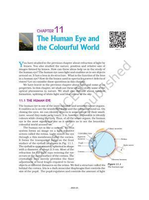 NCERT Book for Class 10 Science Chapter 11 Human Eye and Colourful World