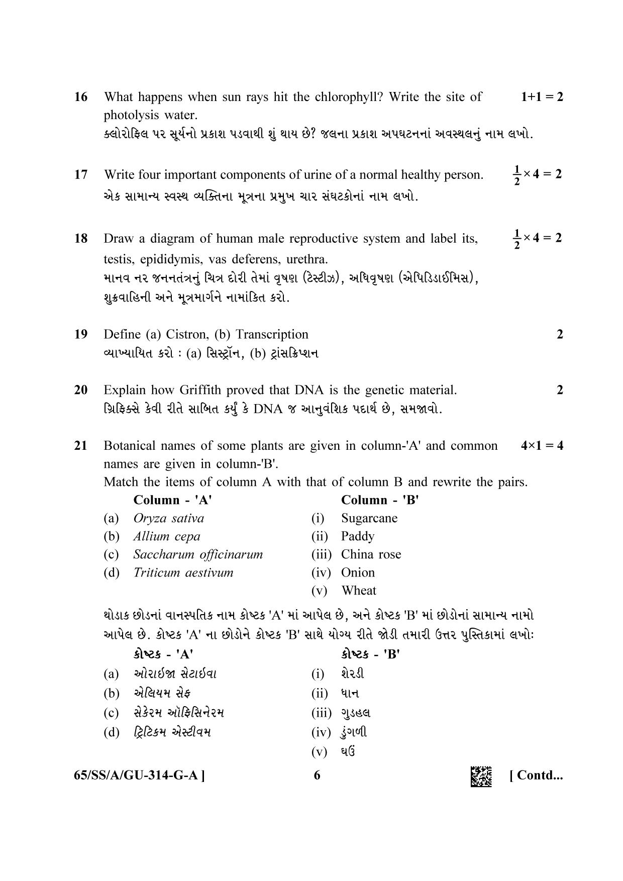 NIOS 2023 Class 12 Gujarati (Biology) Question Paper - Page 6