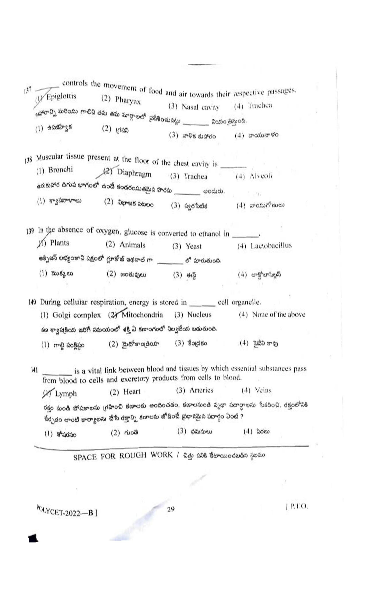 TS POLYCET 2022 Question Paper - Page 29