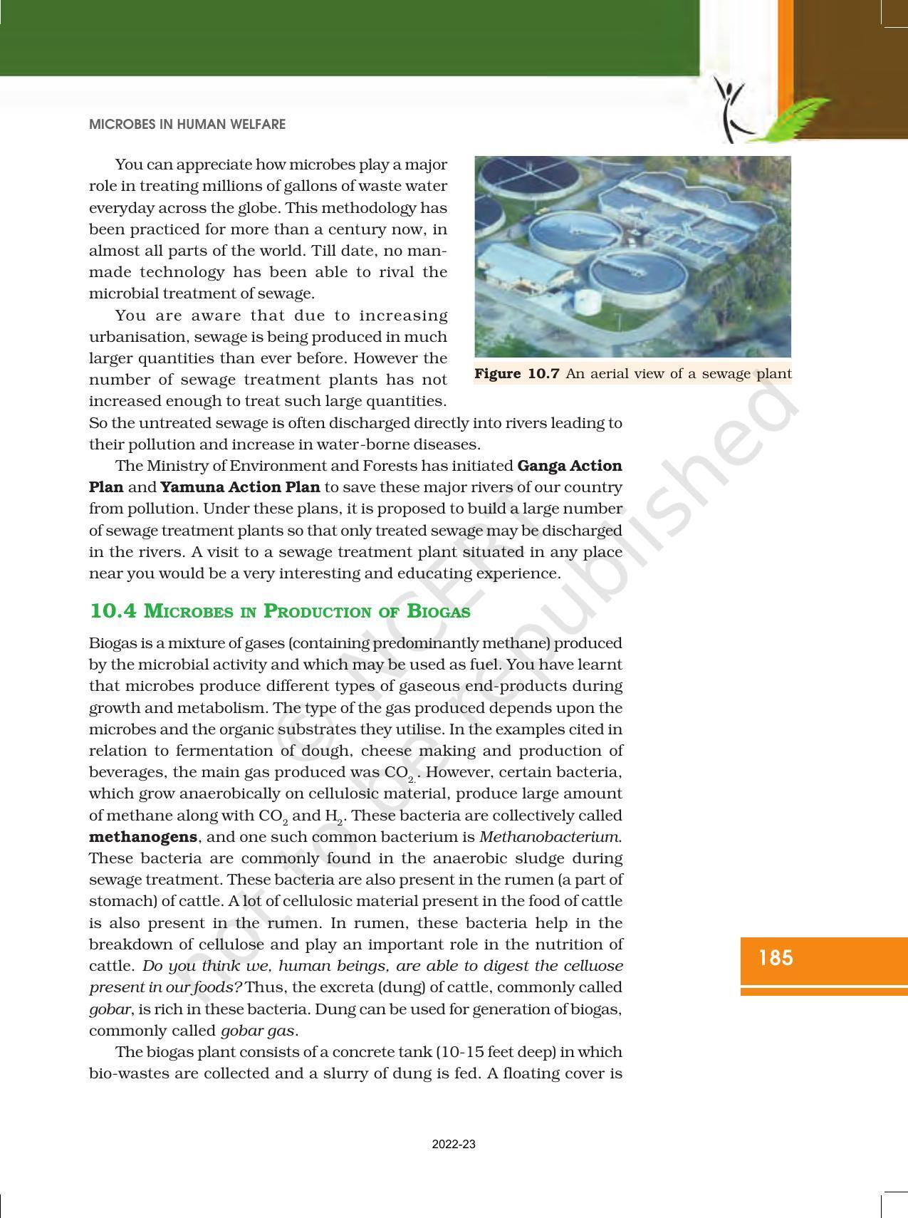NCERT Book for Class 12 Biology Chapter 10 Microbes in Human Welfare - Page 7