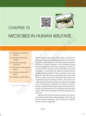 NCERT Book for Class 12 Biology Chapter 10 Microbes in Human Welfare