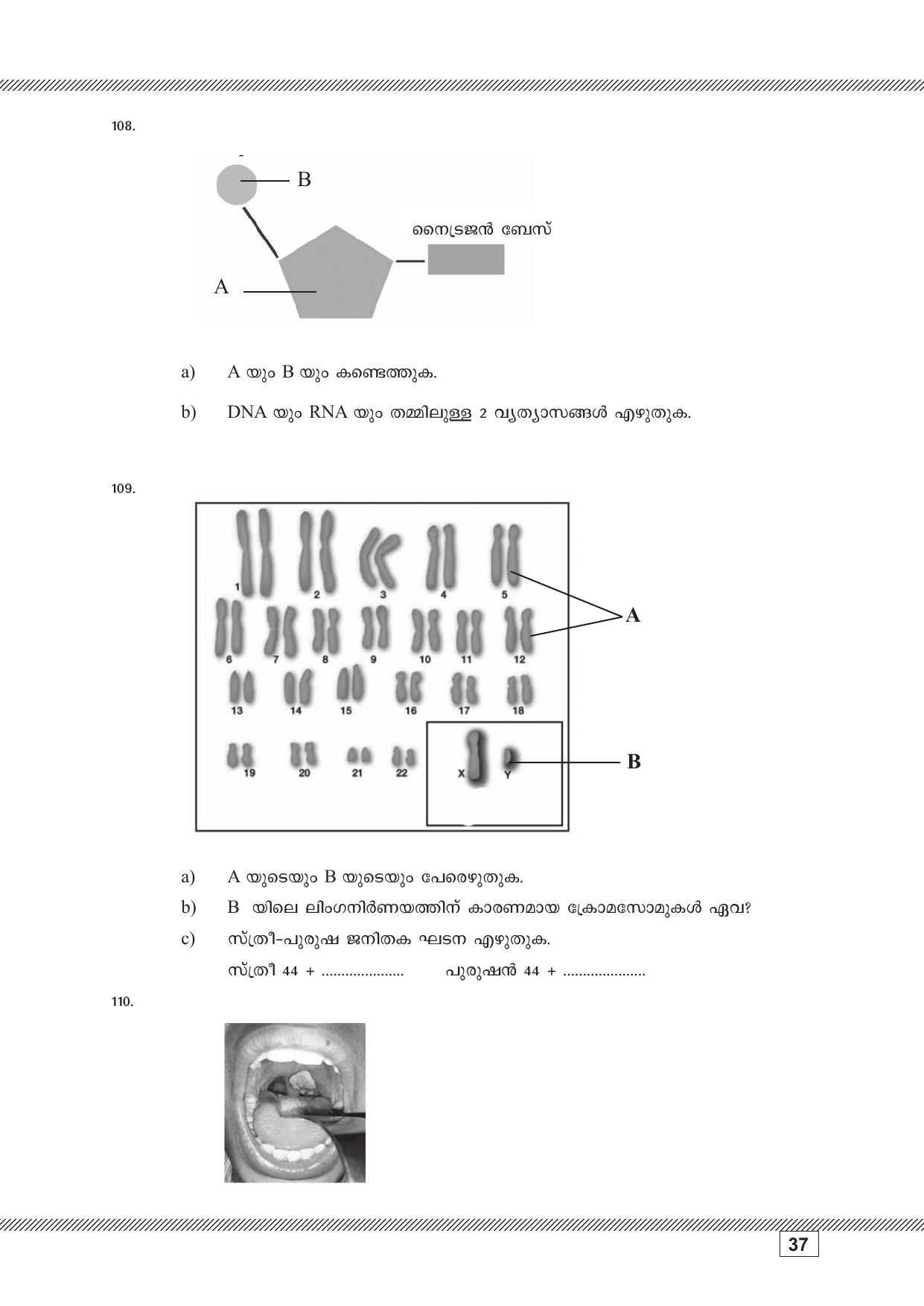Kerala SSLC 2023 Biology (Malayalam Medium) Question Pool - Page 37