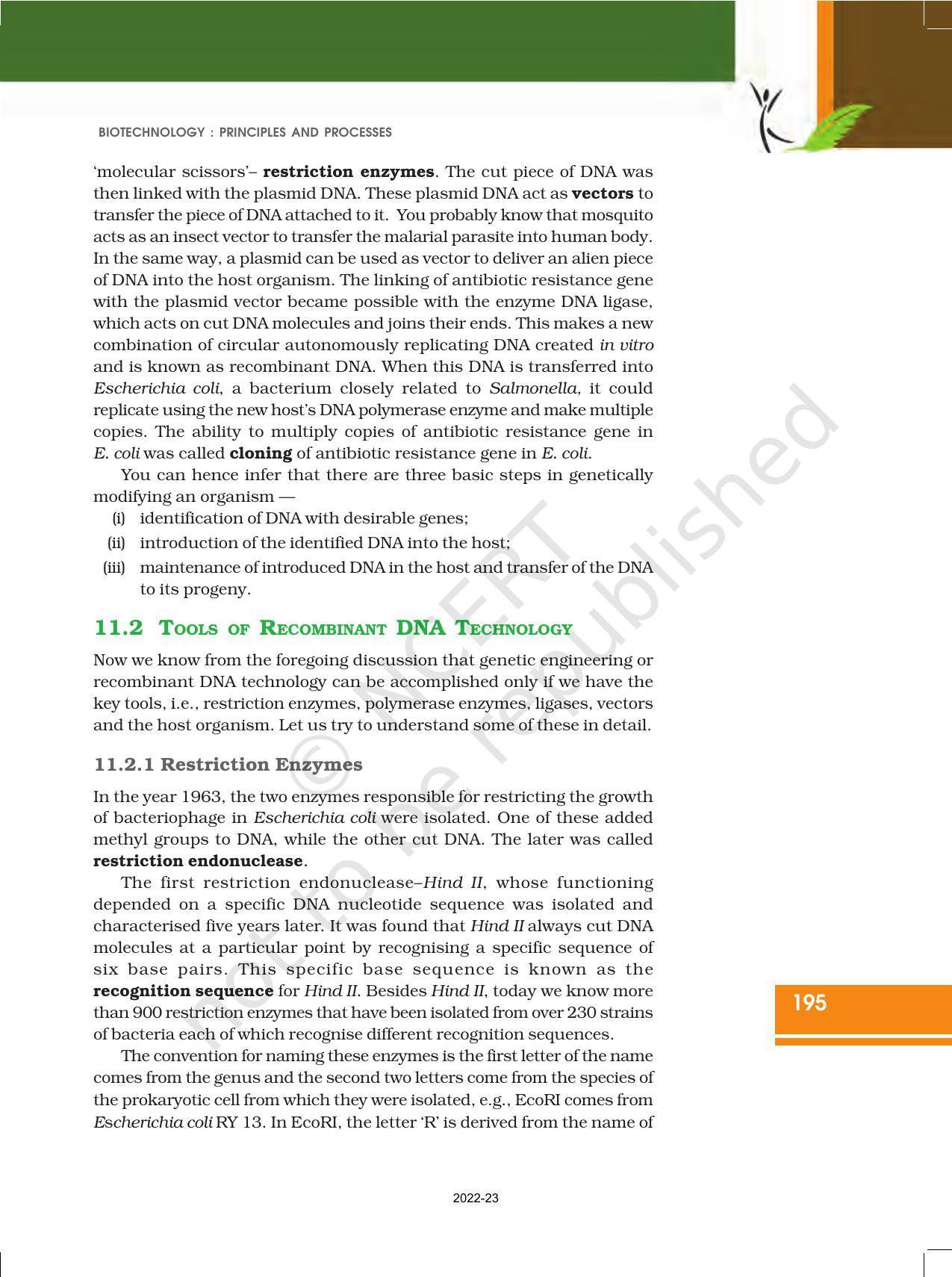NCERT Book for Class 12 Biology Chapter 11 Biotechnology Principles and Processes - Page 5