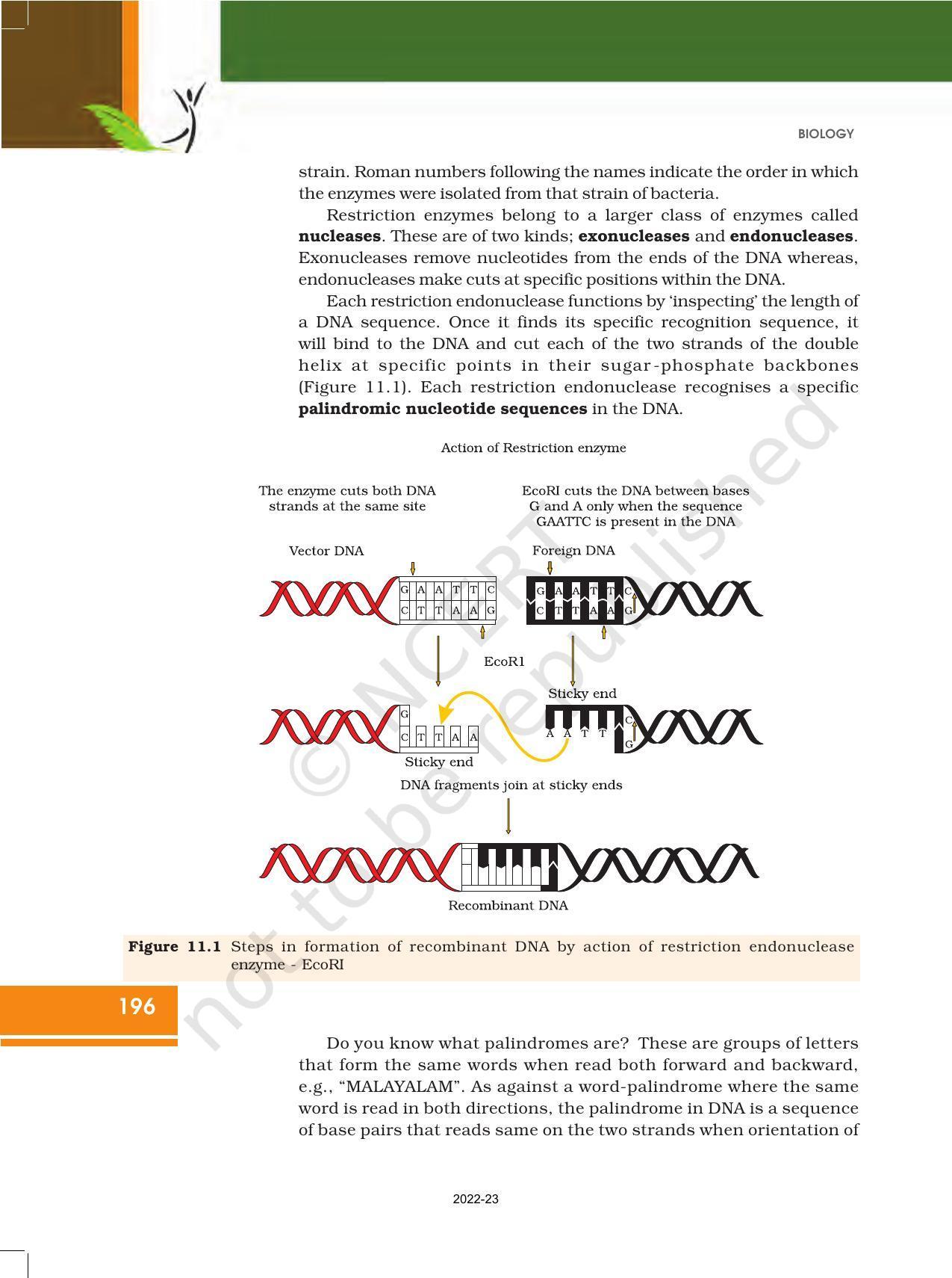 NCERT Book for Class 12 Biology Chapter 11 Biotechnology Principles and Processes - Page 6