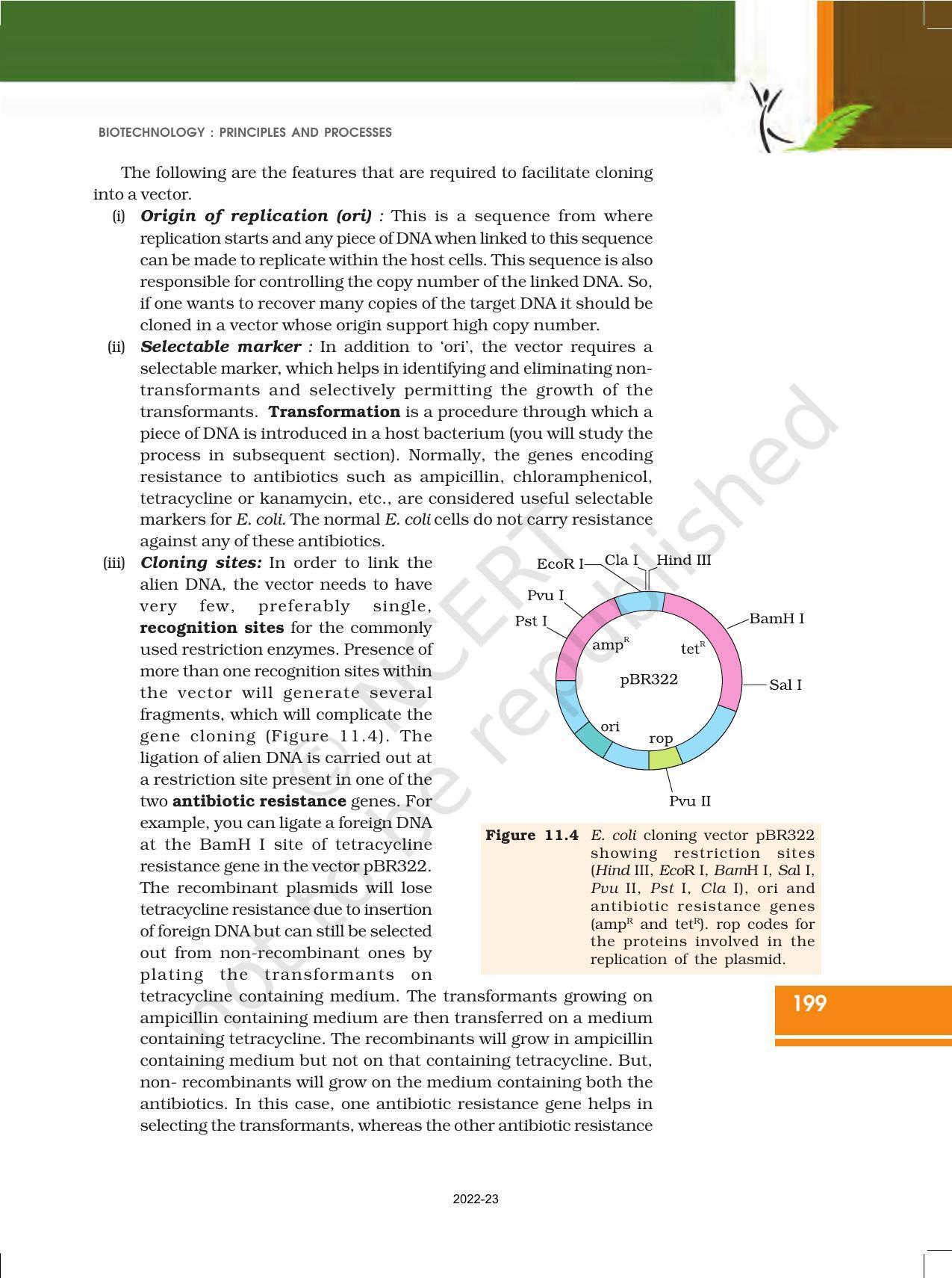 NCERT Book for Class 12 Biology Chapter 11 Biotechnology Principles and Processes - Page 9