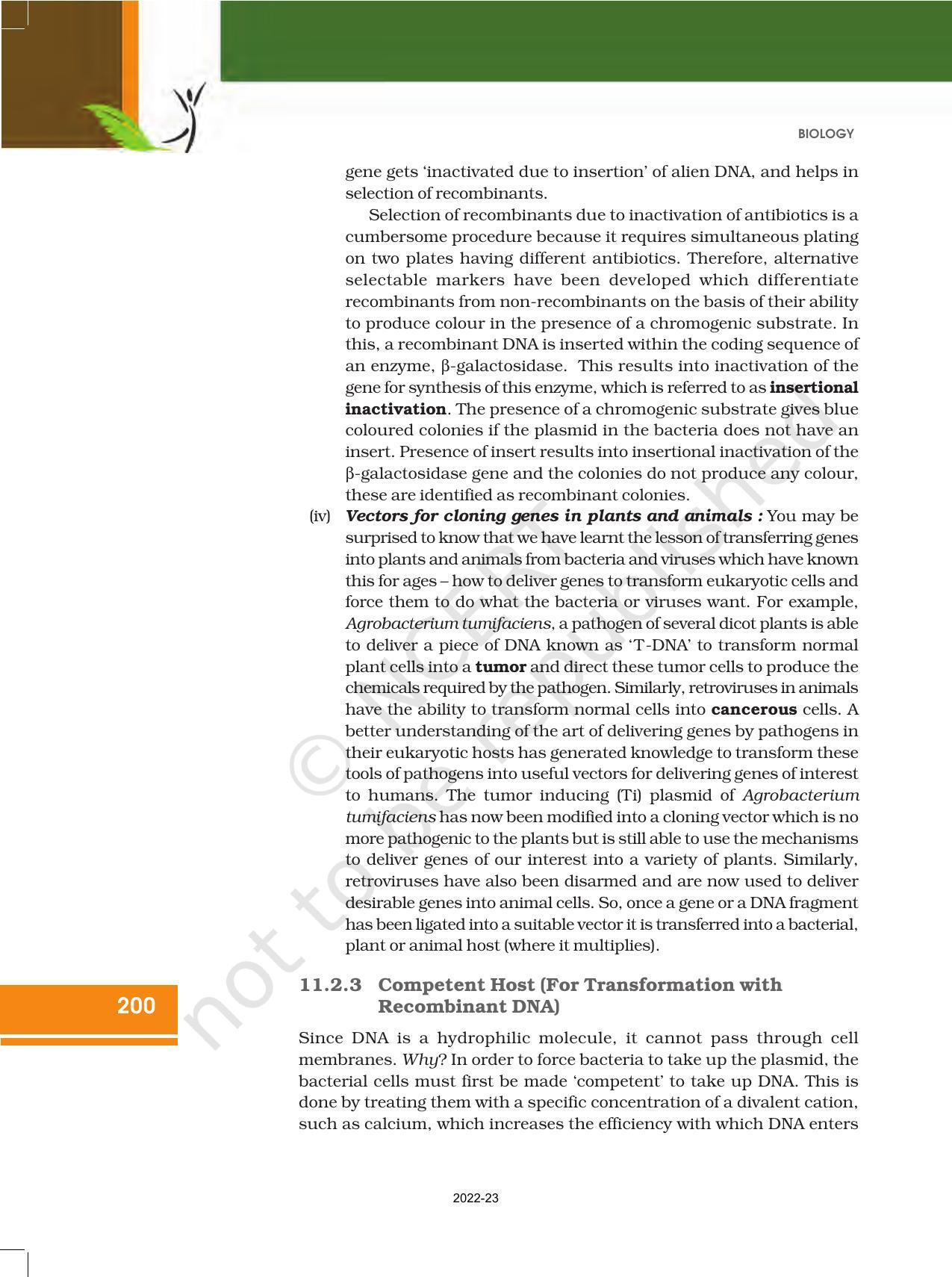 NCERT Book for Class 12 Biology Chapter 11 Biotechnology Principles and Processes - Page 10