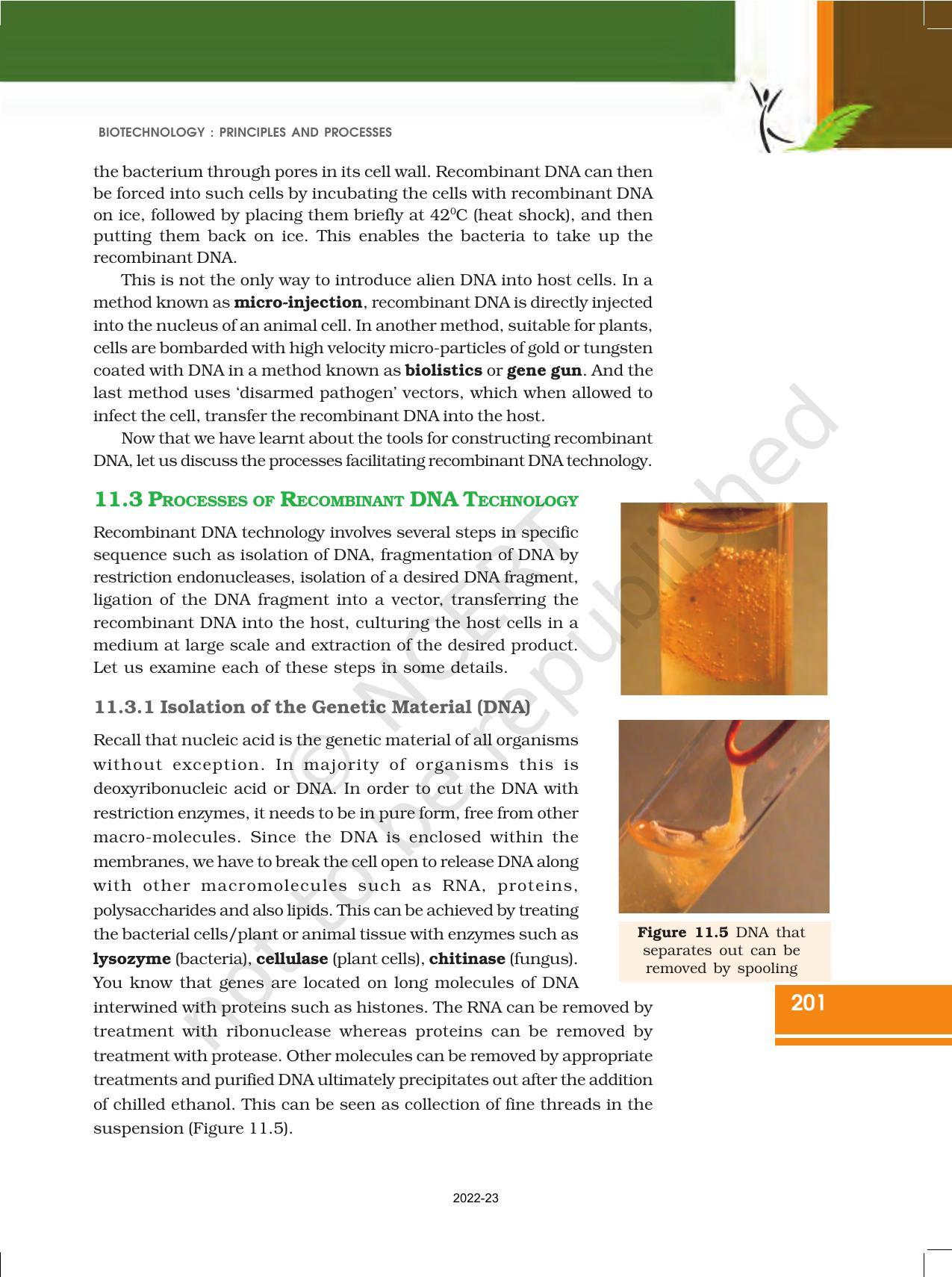 NCERT Book for Class 12 Biology Chapter 11 Biotechnology Principles and Processes - Page 11