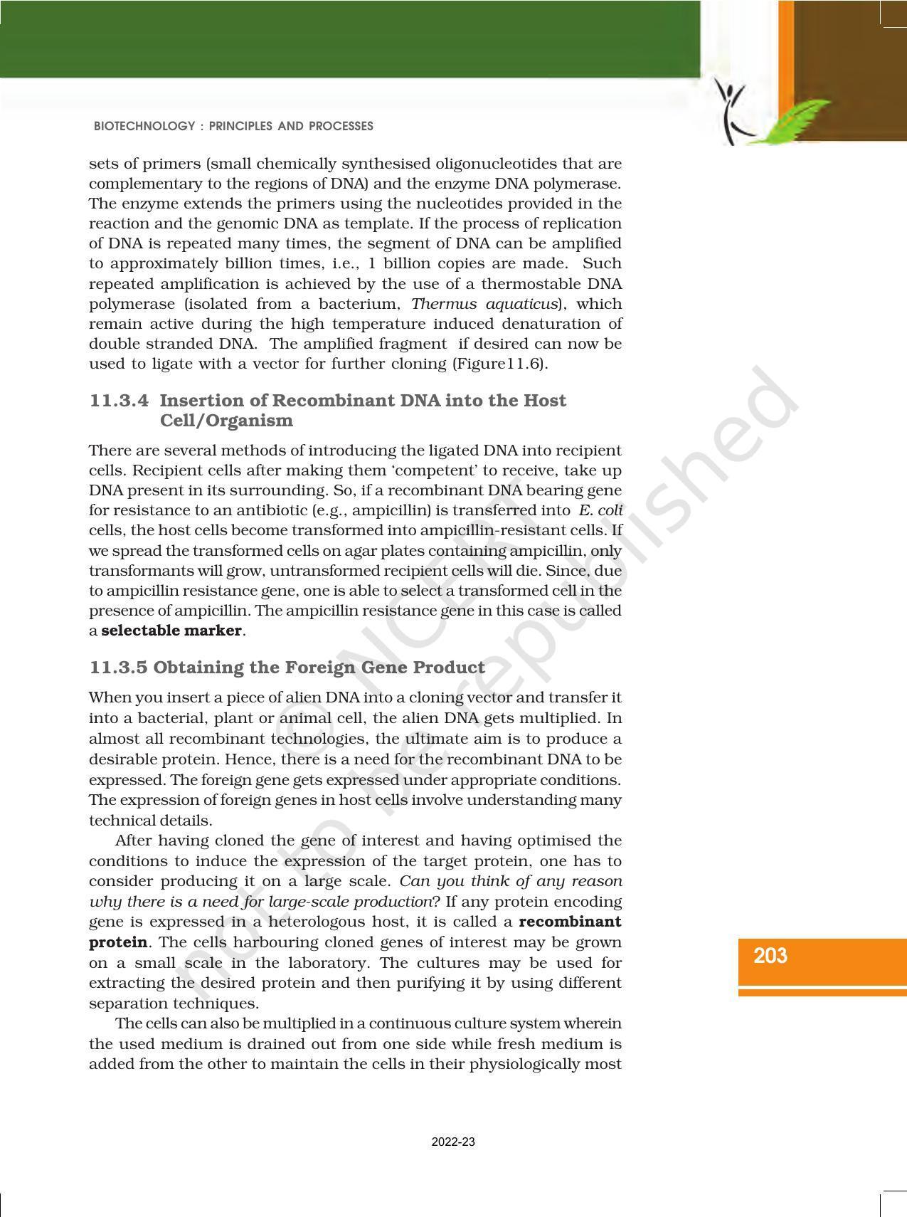 NCERT Book for Class 12 Biology Chapter 11 Biotechnology Principles and Processes - Page 13