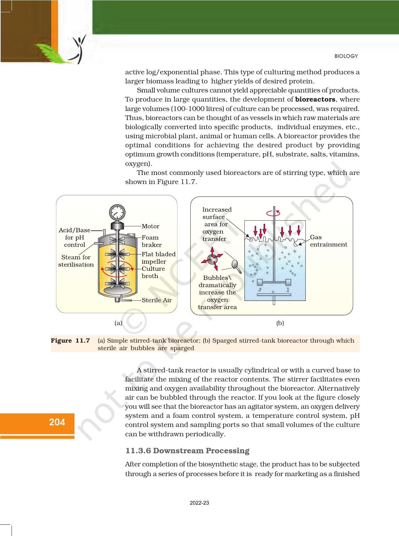 NCERT Book for Class 12 Biology Chapter 11 Biotechnology Principles and Processes - Page 14