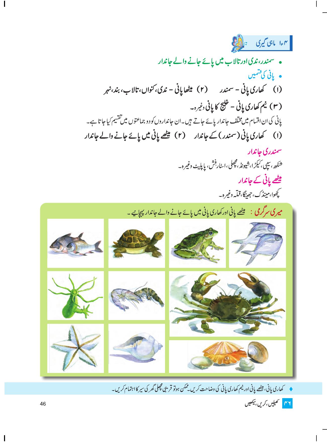 Maharashtra Board Class 4 Play Do Learn (Urdu Medium) Textbook - Page 55